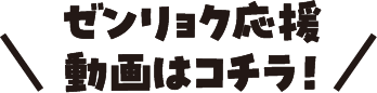 全力応援動画はこちら